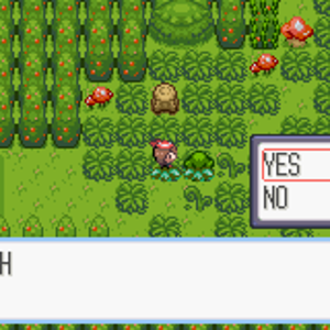 TreeChoice2