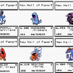 Pokemon Crystal Water Momo Hall Of Fame Team