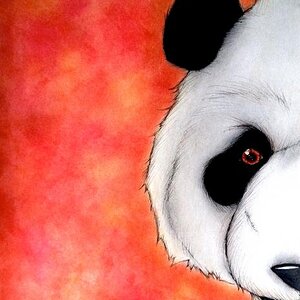 Halving Life: Giant Panda (August 2013)