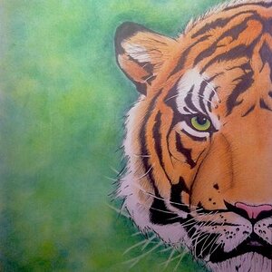Halving Life: Bengal Tiger (April 2013)