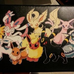 The back of the wallet that I ordered online on 6/9/2015. Hi miscolored Leafeon and Shiny Glaceon X3