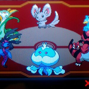 Black Re-run Team:
Serperior
Hydreigon
Jellicent
Krrokodile

Helper:
Ducklett

*Minccino was a random add to make the team look fuller.*