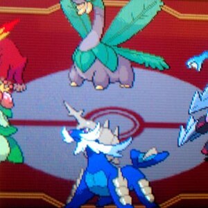 White Re-run Team:
Samurott
Excadrill
Darmanitan
Lilligant

*Tropius and Golduck were random adds to make the team look fuller.*