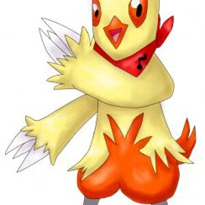 musical combusken. Might add more stuff later