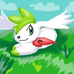 shaymin pic