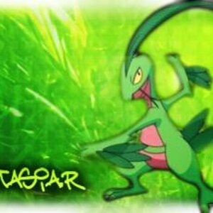 Another Grovyle banner