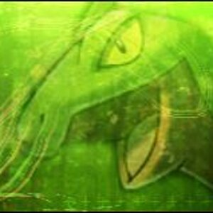 WHAT DO YA KNOW!? Another Grovyle banner! O______o
