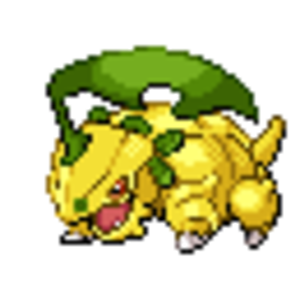 Lairon dressed up like Bayleef.