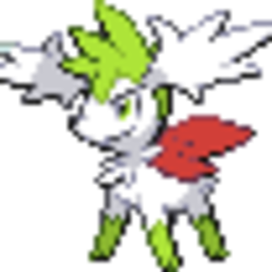 Shamin Sky Form