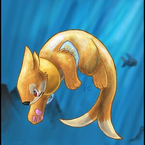 Buizel