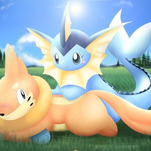 Buizel with Vaporeon