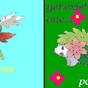 Shaymin Sig