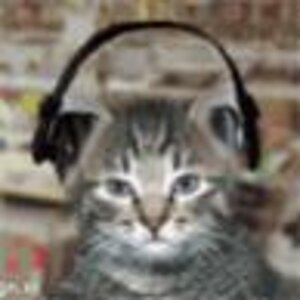 Cat Music