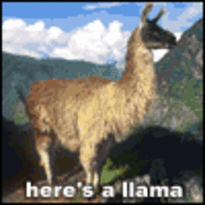 Llama Song