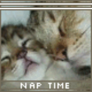 Nap Time
