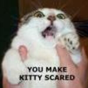 You Make Kitty Scared