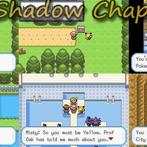 Secret Shadow