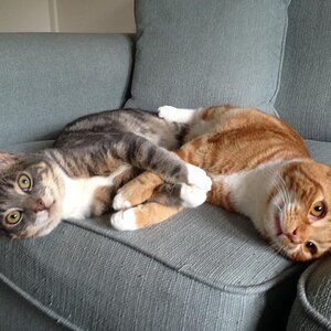 Eli & Sheldon