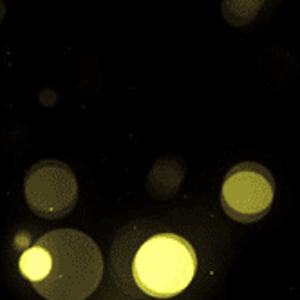 light 2