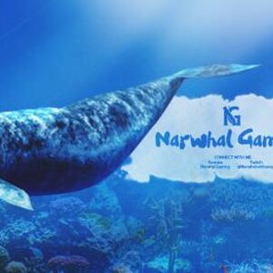 Narwhal Gaming Twitter Header   By Senses (1)
