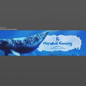 Narwhal Gaming Youtube Banner   By Senses (1)