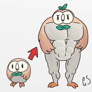rowlet evolution parody