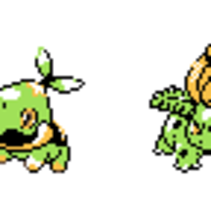 TURTWIG