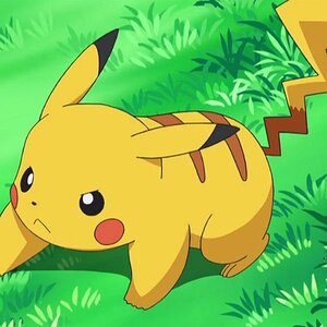 Pikachu determined in grass