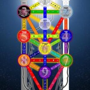 543px Tree of Life 2009 large