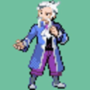 Gym leader juan looks a little bit older. not much change but this is suppose to look like my friends old Sifu when he was doing martial arts training