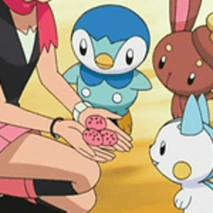 pippy the piplup, bunny the buneary & pachi the pachirisu *pokemon pearl*