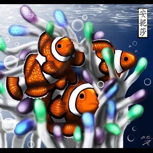 Clownfish by Chayt   Coloured 2017