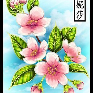 Cherry Blossom Embroidery Pattern   Coloured 2018