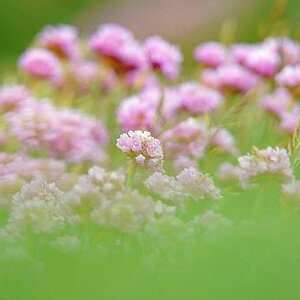 istockphoto 941843766 170667a