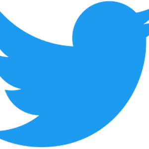 Logo_of_Twitter.svg.png