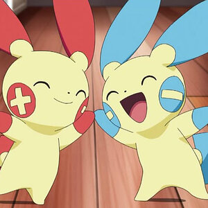 Plusle and Minun