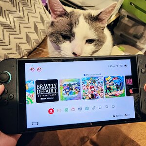 Switch 2 get!
