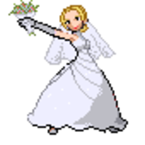Trainer in a wedding dress! I just had to...